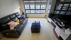 Blk 605A Tampines Greenridges (Tampines), HDB 4 Rooms #588613291